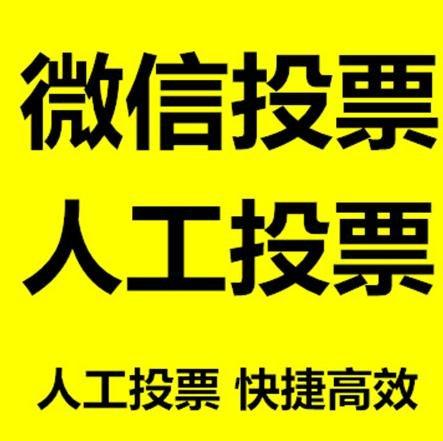 高雄市投票活动拉票能被查出来吗？如何操作能不被发现？